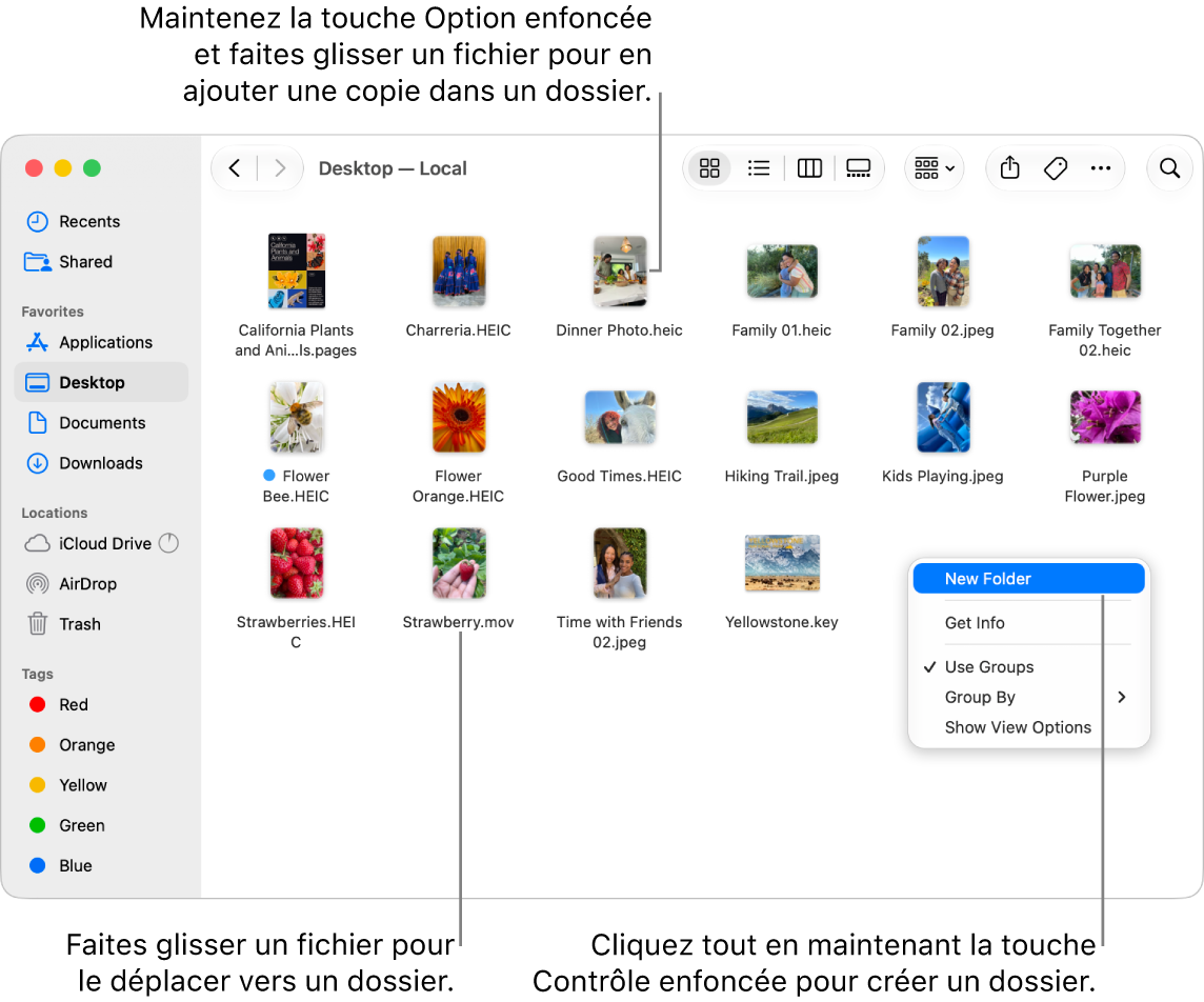 Une fenêtre du Finder contenant des fichiers et des dossiers. «&nbsp;Nouveau dossier&nbsp;» est surligné dans le menu contextuel.
