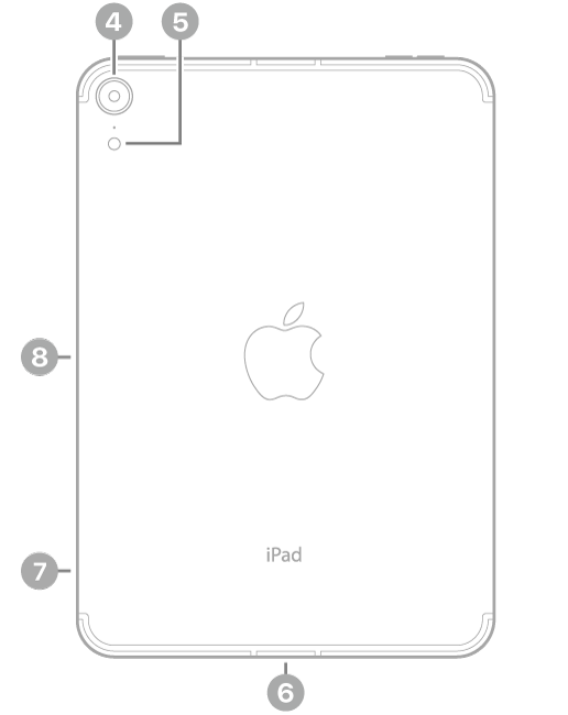 Vista posterior del iPad&nbsp;mini con textos que indican la ubicación de la cámara trasera y el flash en la parte superior izquierda, el conector USB-C en la parte inferior central, la bandeja de la tarjeta SIM (Wi-Fi + Cellular) abajo a la izquierda y el conector magnético para el Apple&nbsp;Pencil a la izquierda.