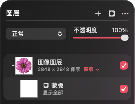 “图层”边栏中的蒙版图层。