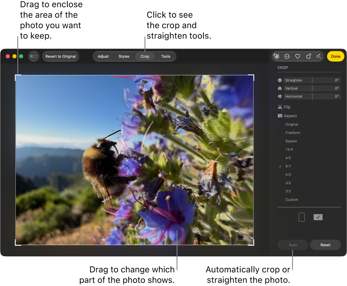 A photo in editing view, with Crop selected in the toolbar, a selection rectangle around the photo and straightening sliders, aspect ratio options, and Auto and Reset buttons on the right.