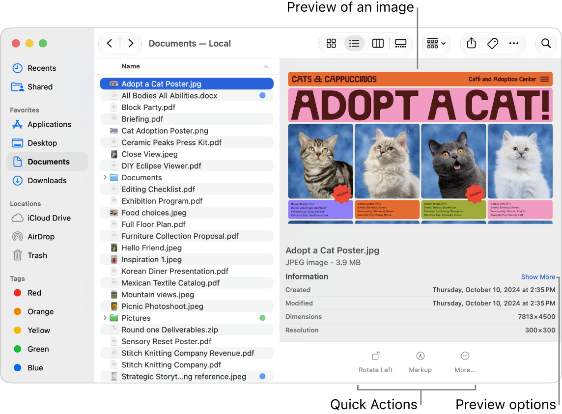 A Finder window with the Preview pane open, showing file details and a preview of the selected item on the right.