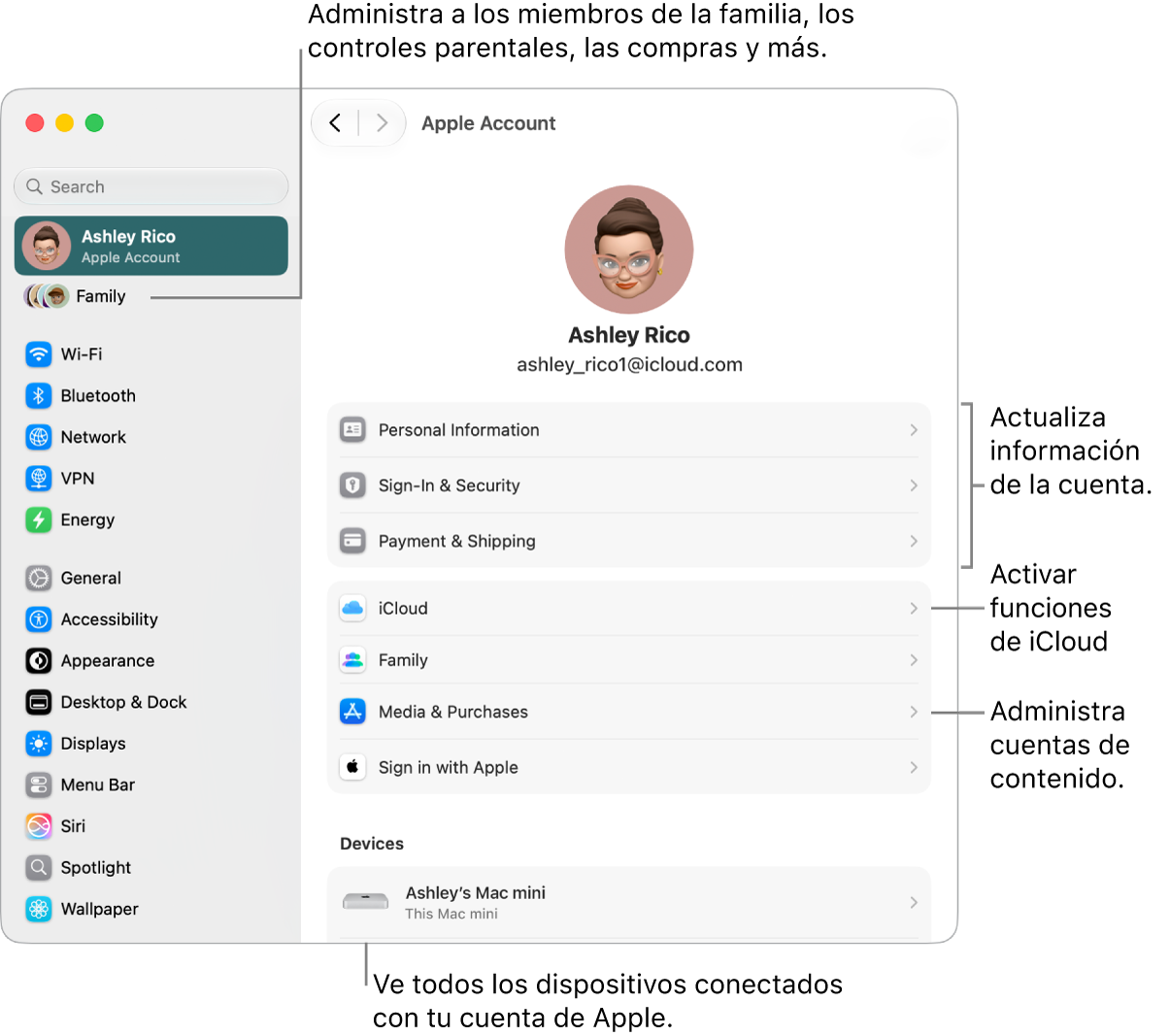 La configuración de la cuenta de Apple en Configuración del Sistema con opciones para actualizar la información de la cuenta, activar o desactivar las funciones de iCloud, administrar las cuentas de contenido, y ajustar la configuración de Familia, donde se pueden administrar familiares, controles parentales, compras y más.