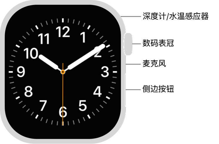 Apple Watch Series 12 的正面，屏幕显示表盘，手表侧边从上到下依次是数码表冠、麦克风和侧边按钮。