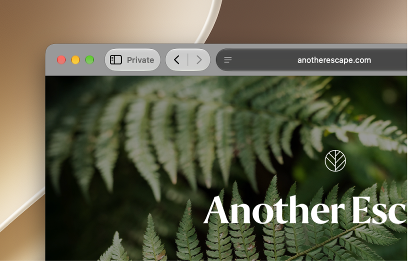 A Safari window that’s locked for Private Browsing.