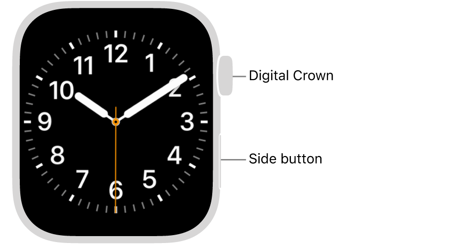 The front of Apple&nbsp;Watch, with the Digital Crown shown at the top on the right side of the watch and the side button shown at the bottom right.