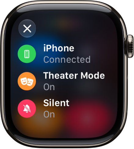 状态详细信息显示 iPhone 已连接、“信息”正在使用位置、静音模式已打开并且勿扰模式已打开。