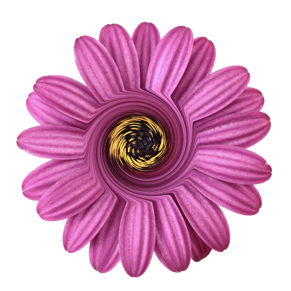 A layer containing a flower image with the Twirl adjustment applied.