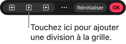 Barre d’outils située en bas de la zone de travail avec des options pour ajouter des divisions à une grille de déformation.