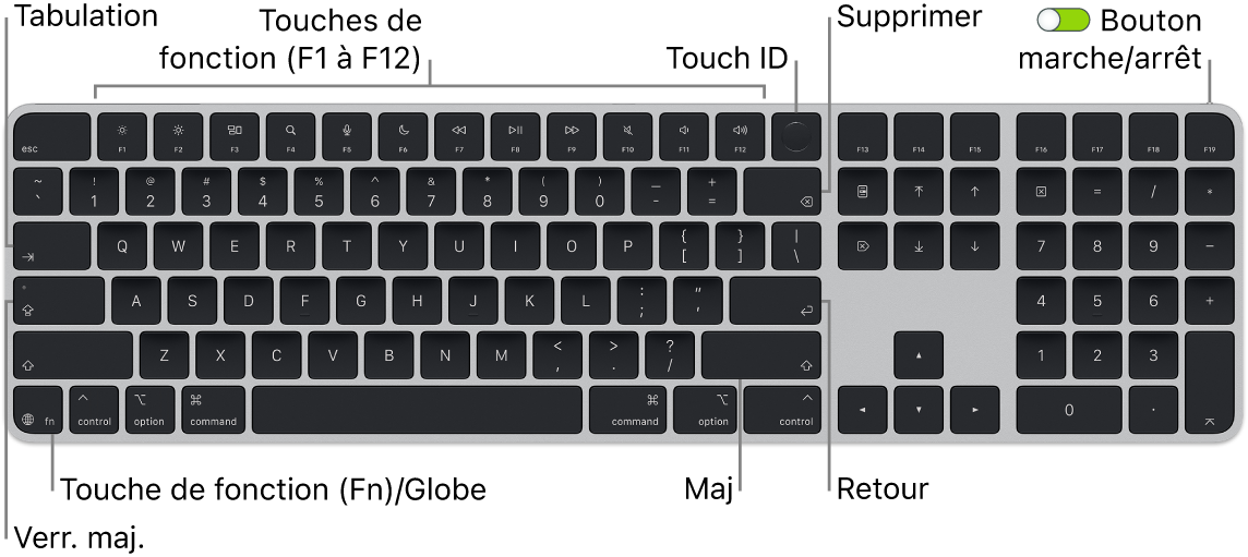 Le Magic&nbsp;Keyboard avec Touch&nbsp;ID et pavé numérique affichant le rang des touches de fonction et le capteur Touch&nbsp;ID en haut, ainsi que la touche Fonction (Fn)/Globe en bas à gauche.