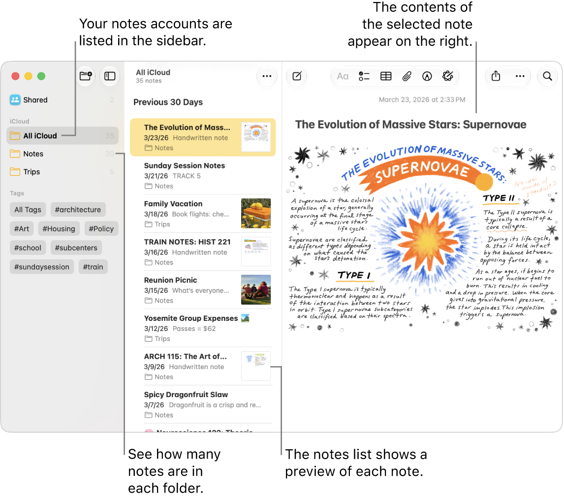 A Notes app window on Mac with all configured accounts and folders listed in the sidebar on the left, the list of notes in the middle showing a preview of each note, and the content of the selected note appearing on the right. The number of notes appears next to each folder.