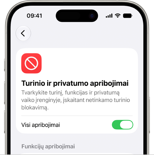 „Turinio ir privatumo apribojimų“ ekranas.