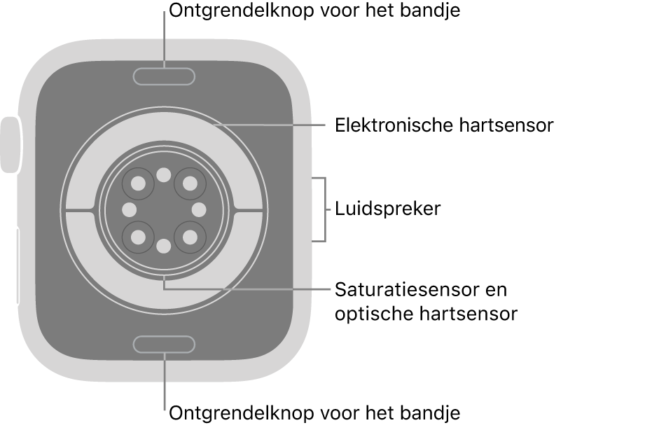 De achterkant van de Apple&nbsp;Watch Series&nbsp;11, met aan de boven- en onderkant de ontgrendelknoppen van het bandje, in het midden de elektrische hartsensoren, de optische hartsensoren en de saturatiesensoren, en aan de zijkant de luidspreker.