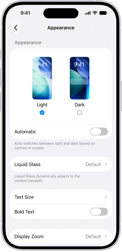 The Display and Brightness screen in Settings.