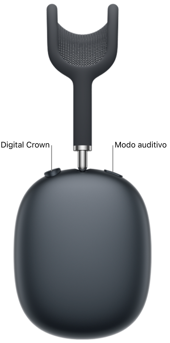 El audífono derecho de los AirPods&nbsp;Max&nbsp;2, que muestra la Digital Crown en la parte superior izquierda y el botón de modo auditivo en la parte superior derecha.