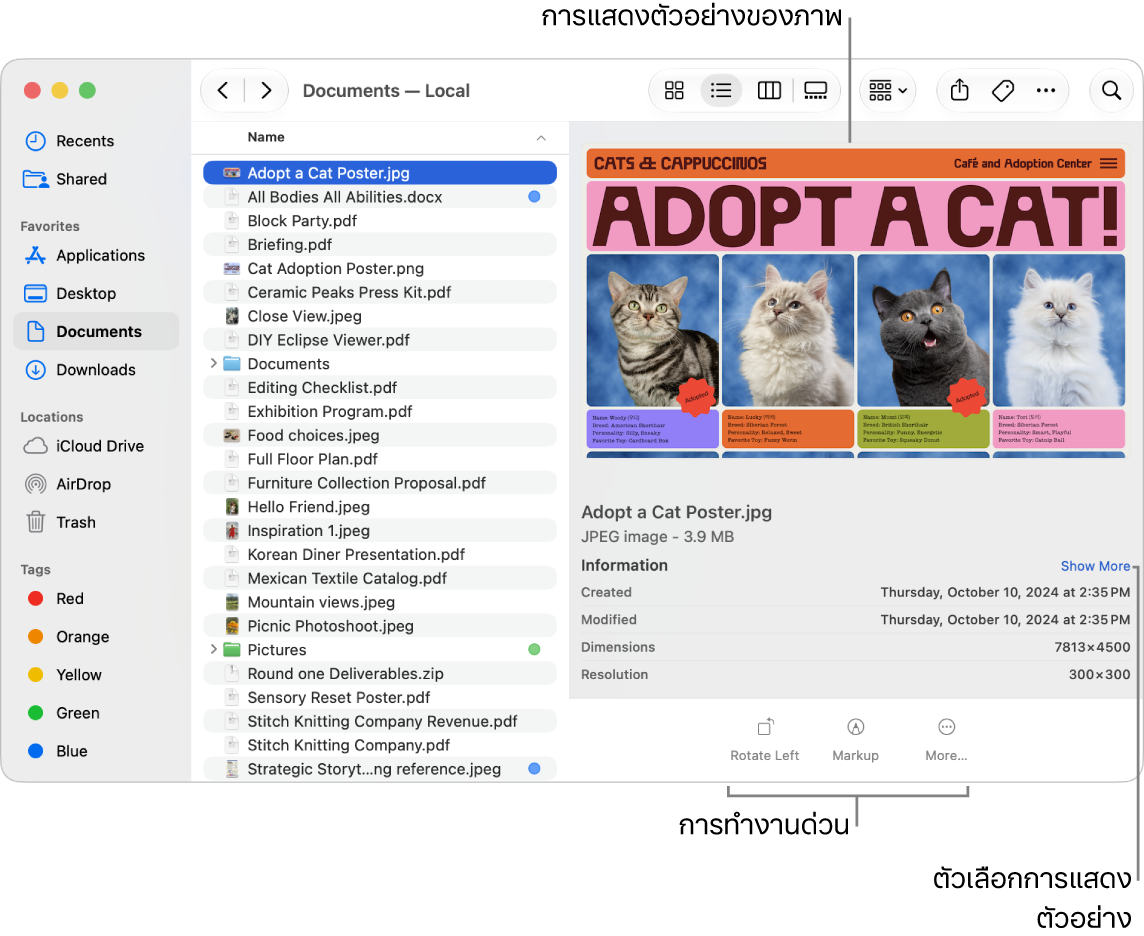 หน้าต่าง Finder ที่แสดงแถบด้านข้าง Finder ทางซ้ายและไฟล์ภาพที่เลือกตรงกลางของหน้าต่าง ทางด้านขวา บานหน้าต่างการแสดงตัวอย่างแสดงตัวอย่างภาพที่มีรายละเอียดภาพด้านล่างและปุ่มการทำงานด่วนอยู่ด้านล่างสุด