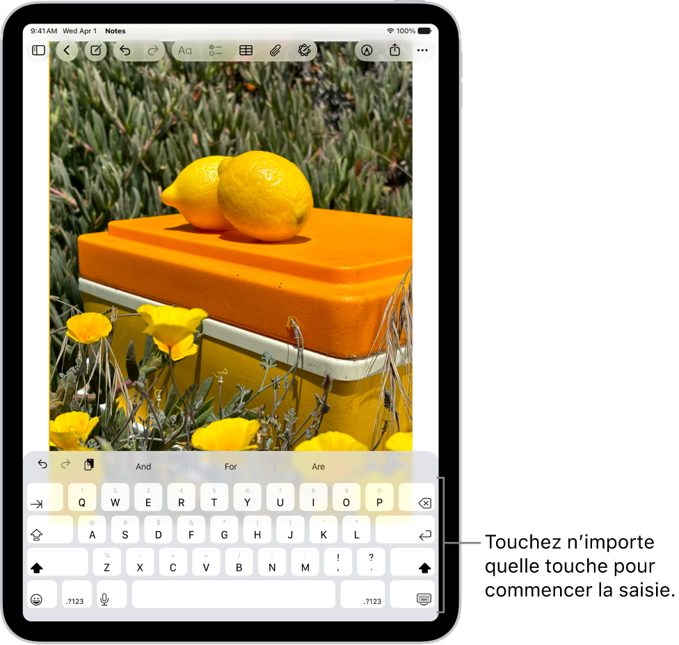 Un document est ouvert dans l’app Notes. Le clavier à l’écran se trouve dans la partie inférieure de l’écran.
