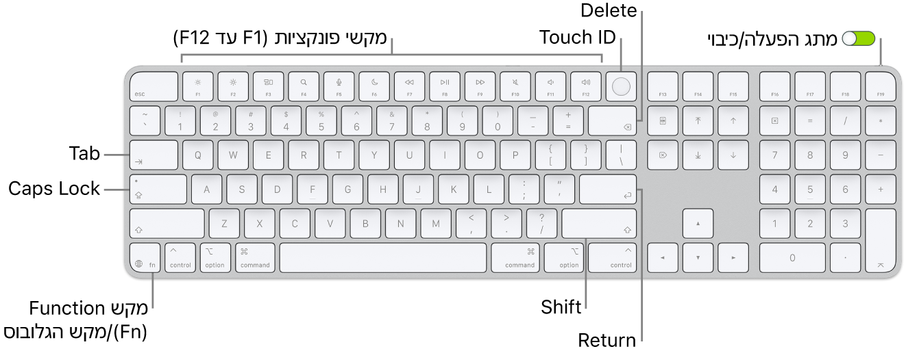 ה-Magic Keyboard עם ה-Touch ID ומשטח ספרות מציגה את שורת מקשי הפונקציה ואת ה-Touch ID לאורך החלק העליון, ואת מקש הפונקציה (Fn)/גלובוס מימין למקש Delete.