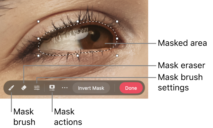 A bitmap mask on a photo with the toolbar visible.