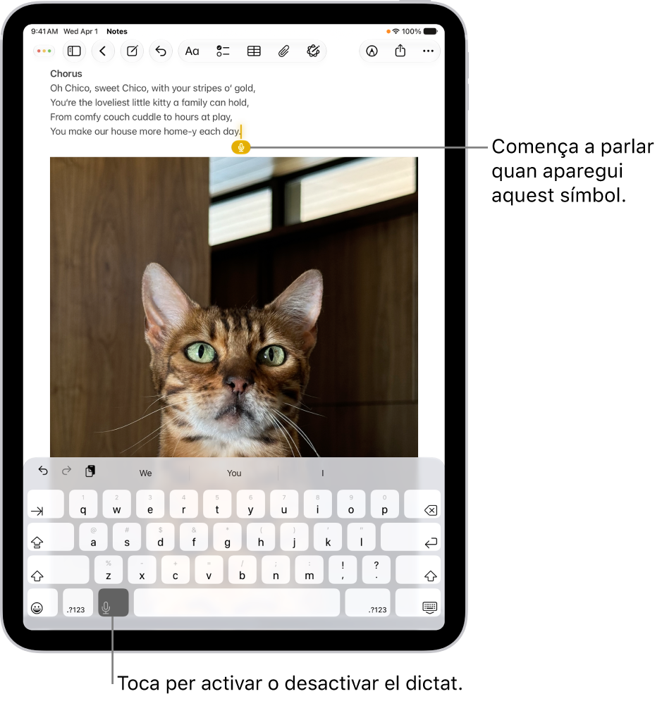 A l’app Notes es mostra el teclat en pantalla. A la part inferior del teclat hi ha el botó de dictat seleccionat, i el botó de dictat es mostra a sota del punt d’inserció del camp de text.