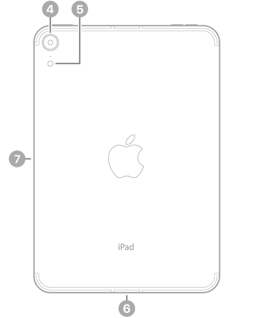 Die Rückansicht des iPad&nbsp;mini mit Hinweisen auf die rückseitige Kamera und den Blitz links oben, den USB-C-Anschluss unten in der Mitte und den magnetischen Anschluss für den Apple&nbsp;Pencil an der linken Seite.
