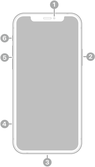 La vue de face de l’iPhone&nbsp;12. La caméra avant se trouve en haut au centre. Le bouton latéral est situé sur le côté droit. Le connecteur Lightning se trouve en bas. Sur le côté gauche, de bas en haut, se trouvent le support pour carte SIM, les boutons de volume et le bouton Sonnerie/Silence.