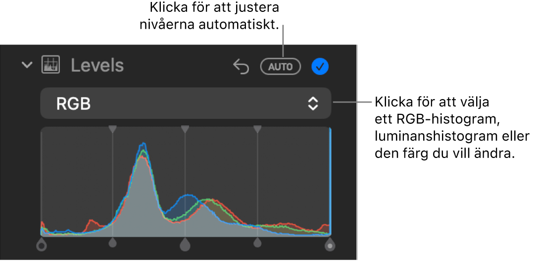 Nivåreglagen på panelen Justera med Auto-knappen högst upp till höger och RGB-histogrammet nedanför.