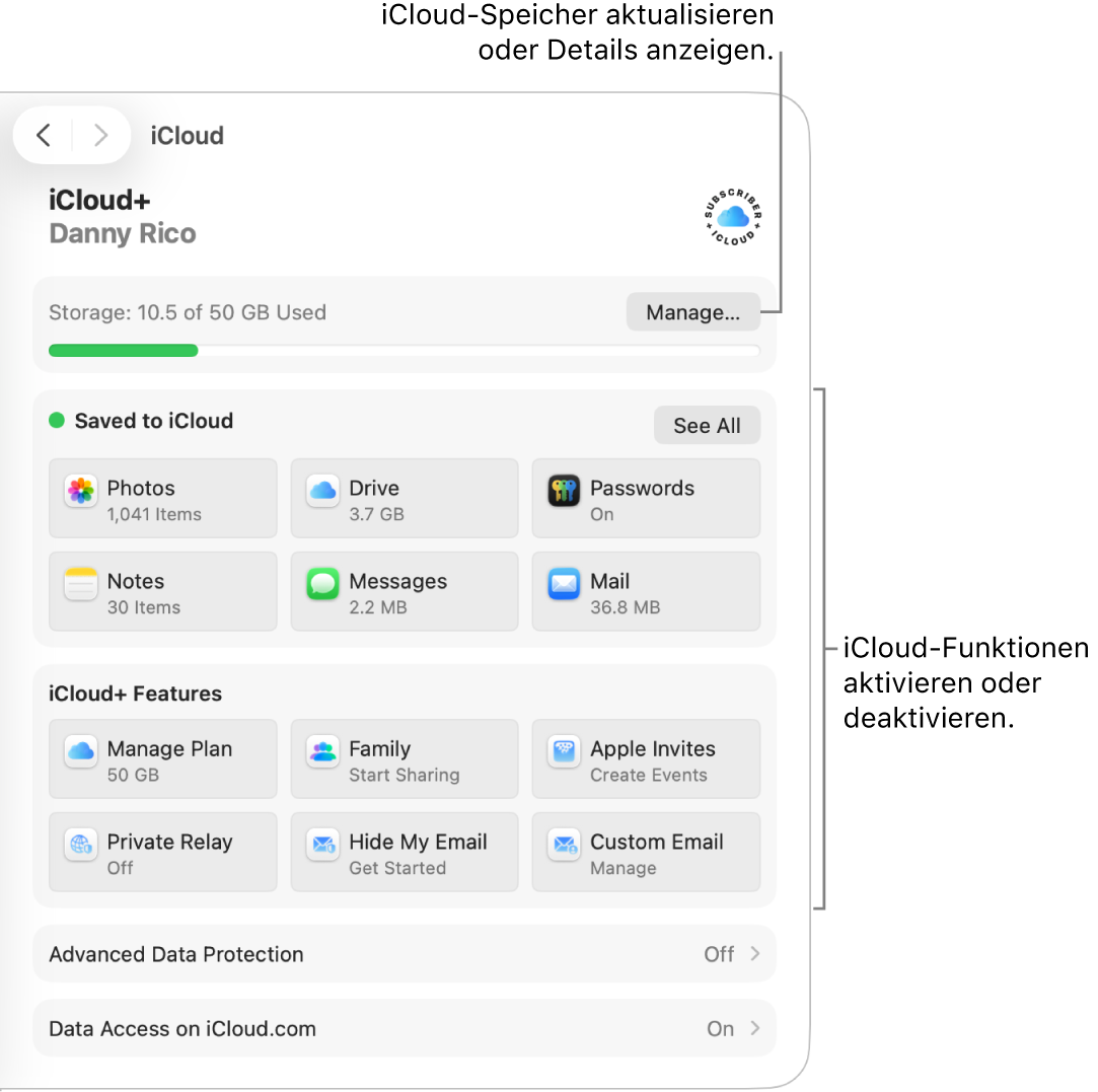 iCloud-Einstellungen für die am häufigsten verwendeten Funktionen.
