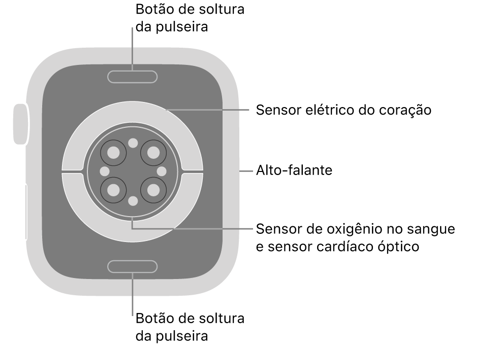 A parte traseira do Apple&nbsp;Watch Series&nbsp;9, com os botões para soltar a pulseira na parte superior e inferior, os sensores elétricos cardíacos, ópticos cardíacos e de oxigênio no sangue no meio, e o alto-falante na lateral.