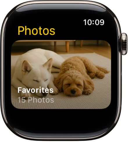 The Photos app on Apple&nbsp;Watch showing an album called Favorites.