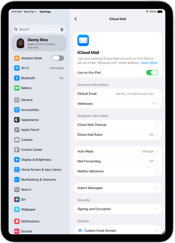 “设置” App，打开至“iCloud 邮件”屏幕。“自定义电子邮件域”位于菜单底部。