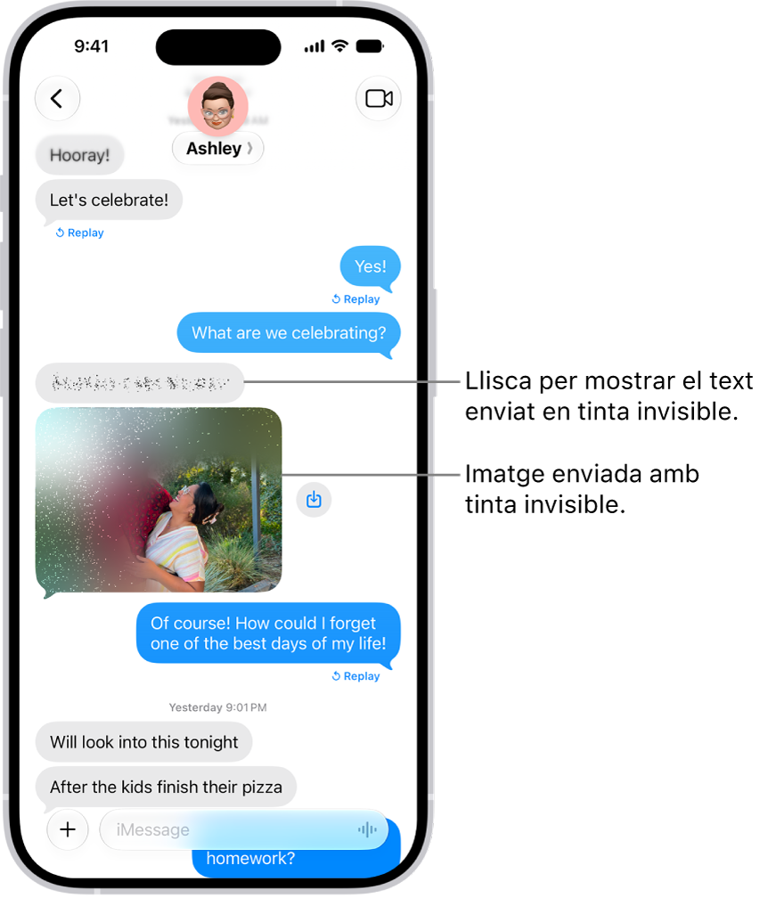 Una conversa a l’app Missatges que inclou un missatge de text i una foto enviada amb l’efecte de tinta invisible.
