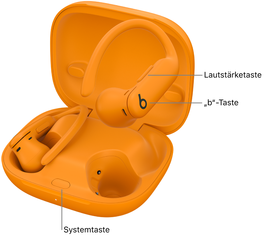 Eine Abbildung der Powerbeats&nbsp;Pro&nbsp;2, auf der die Position der „b“-Taste auf einem Ohrhörern sowie die Position der Systemtaste innerhalb des Ladecase dargestellt wird.