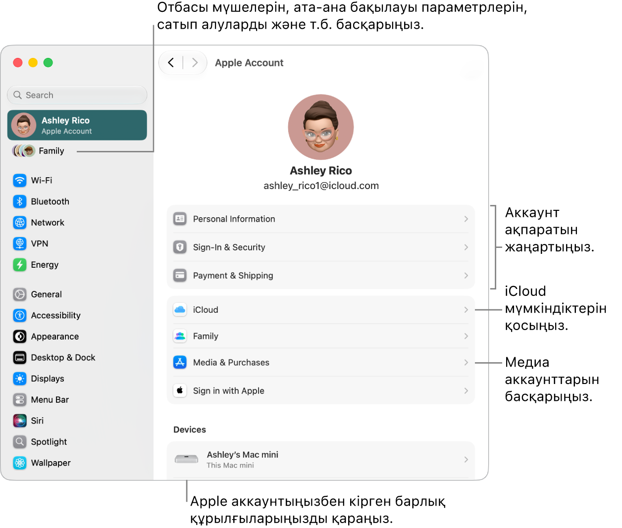 Аккаунт ақпаратын жаңарту, iCloud мүмкіндіктерін қосу немесе өшіру, медиа аккаунттарын басқару үшін тілше деректері бар System Settings терезесіндегі және ішінде отбасы мүшелерін, ата-аналық бақылауларды, сатып алуларды және т.б. басқаруға болатын Family settings терезесіндегі Apple аккаунтының параметрлері.
