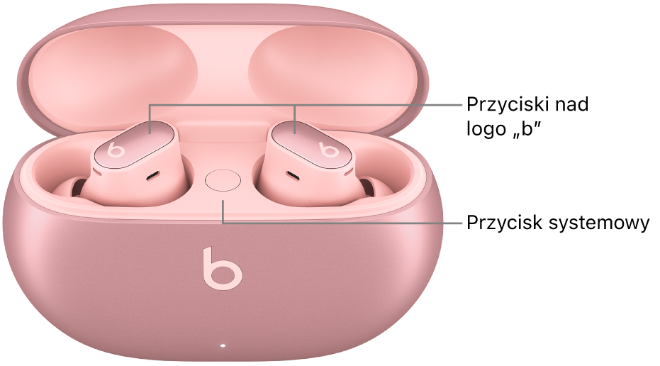 Ilustracja przedstawiająca położenie przycisków nad logiem&nbsp;„b” na słuchawkach Beats&nbsp;Studio&nbsp;Buds&nbsp;+ oraz położenie przycisku systemowego wewnątrz etui ładującego.
