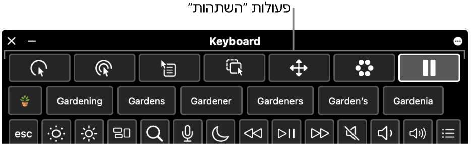 כפתורים של פעולות ״השתהות״ הממוקמים לאורך החלק העליון של ״מקלדת הנגישות״.