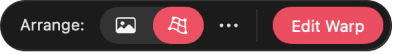 A toolbar at the bottom of the canvas used to select the warp grid.