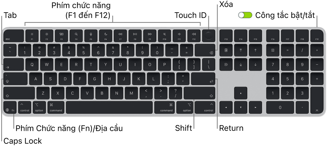Magic Keyboard có Touch ID và Bàn phím số đang hiển thị hàng các phím chức năng, Touch ID ở trên cùng và phím Chức năng (Fn)/Địa cầu ở dưới cùng bên trái.