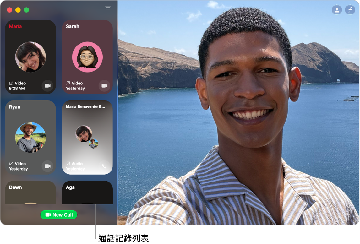 FaceTime 視窗在左側顯示最近的來電者列表。