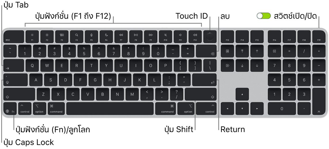Magic Keyboard พร้อม Touch ID และปุ่มตัวเลขที่แสดงแถวของปุ่มฟังก์ชั่นและ Touch ID ตลอดแนวด้านบนสุด และปุ่มฟังก์ชั่น (Fn)/ลูกโลกที่ด้านซ้ายล่างสุด