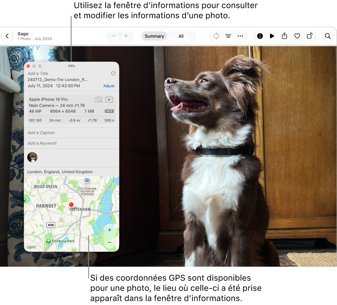 La fenêtre Informations d’une photo affichant la date, l’heure et le lieu de la prise de vue, des informations sur l’appareil utilisé pour prendre la photo, et plus encore.