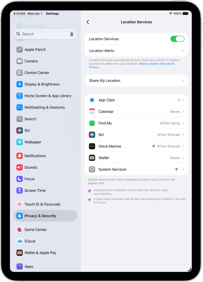 “定位服务”屏幕，显示用于与 App 共享 iPad 位置的设置。
