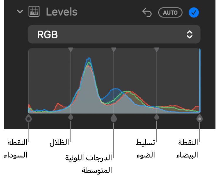عناصر تحكم المستويات في الجزء ضبط، تُظهر مدرج RGB التكراري بمقابض أدناه، وتشمل (من اليمين إلى اليسار) النقطة السوداء والظلال والدرجات اللونية المتوسطة والتمييزات، والنقطة البيضاء.