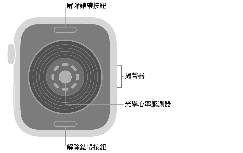 Apple Watch SE 3 的背面，頂端和底部為解除錶帶按鈕，中央為光學心率感測器，而側邊為揚聲器。