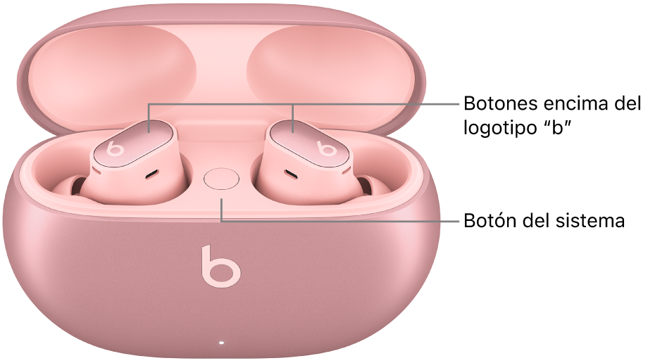 Imagen de los Beats&nbsp;Studio&nbsp;Buds&nbsp;+ que muestra dónde se encuentran los botones encima del logotipo “b” en los auriculares y el botón del sistema dentro del estuche de carga.