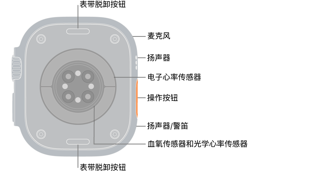 Apple&nbsp;Watch&nbsp;Ultra 3 表背，顶部和底部是表带脱卸按钮。 侧边是麦克风、扬声器、电子心率传感器、操作按钮、警笛发声位置的扬声器端口、血氧传感器和光学心率传感器。