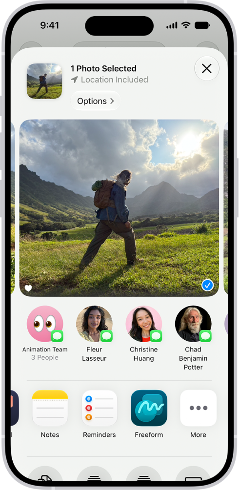 The screen for sharing a photo, with the sharing options immediately below the open photo, including the More button for editing the sharing options.