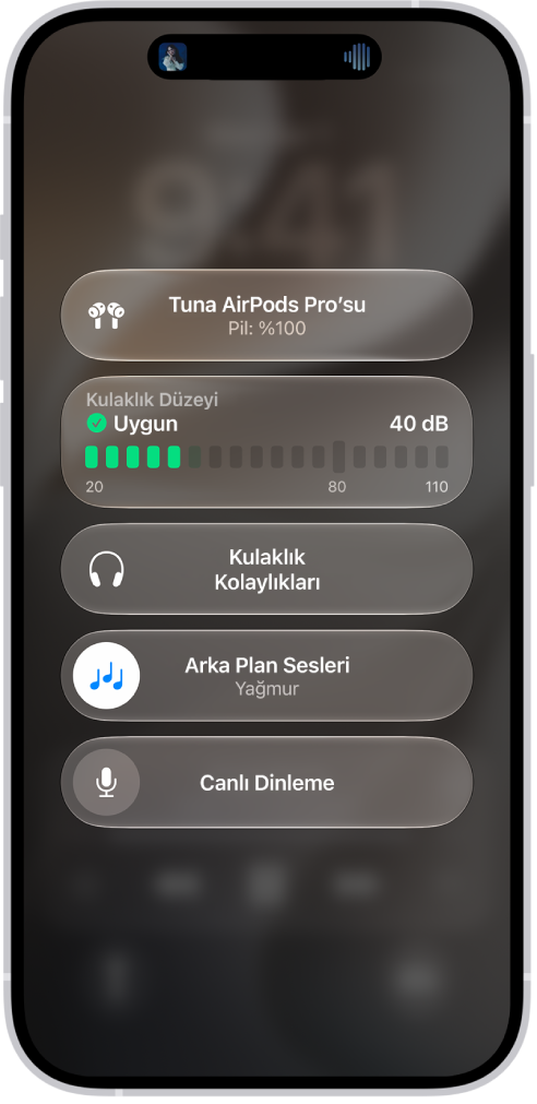 Denetim Merkezi’ndeki İşitme Cihazları ekranı. Yukarıdan aşağıya, desibel cinsinden Kulaklık Düzeyi, İşitme Yardımı, Arka Plan Sesleri ve Canlı Dinleme seçenekleri bulunuyor.