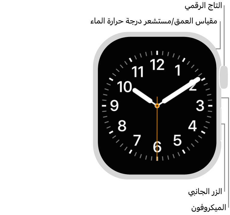 الجزء الأمامي من Apple&nbsp;Watch&nbsp;Series&nbsp;12 وتظهر به شاشة العرض التي تعرض واجهة الساعة والتاج الرقمي والميكروفون والزر الجانبي من أعلى إلى أسفل على جانب الساعة.