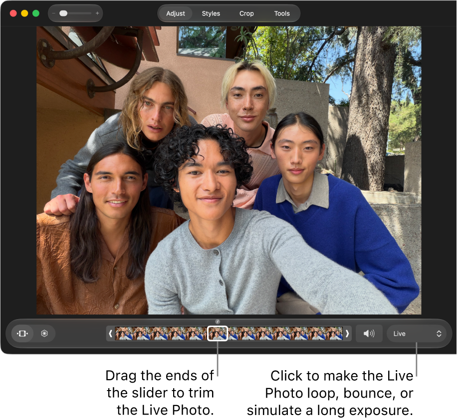 A Live Photo in editing view with a slider beneath it showing the frames of the photo. To the right of the slider are the Speaker button and a pop-up menu you can use to add a loop, bounce, or long exposure effect.