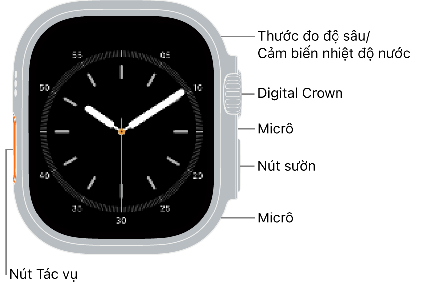 Mặt trước của Apple&nbsp;Watch Ultra&nbsp;4, với màn hình đang hiển thị mặt đồng hồ và thước đo Độ sâu/cảm biến Nhiệt độ nước, Digital&nbsp;Crown, micrô, nút sườn và một micrô khác từ trên xuống dưới trên sườn của đồng hồ.